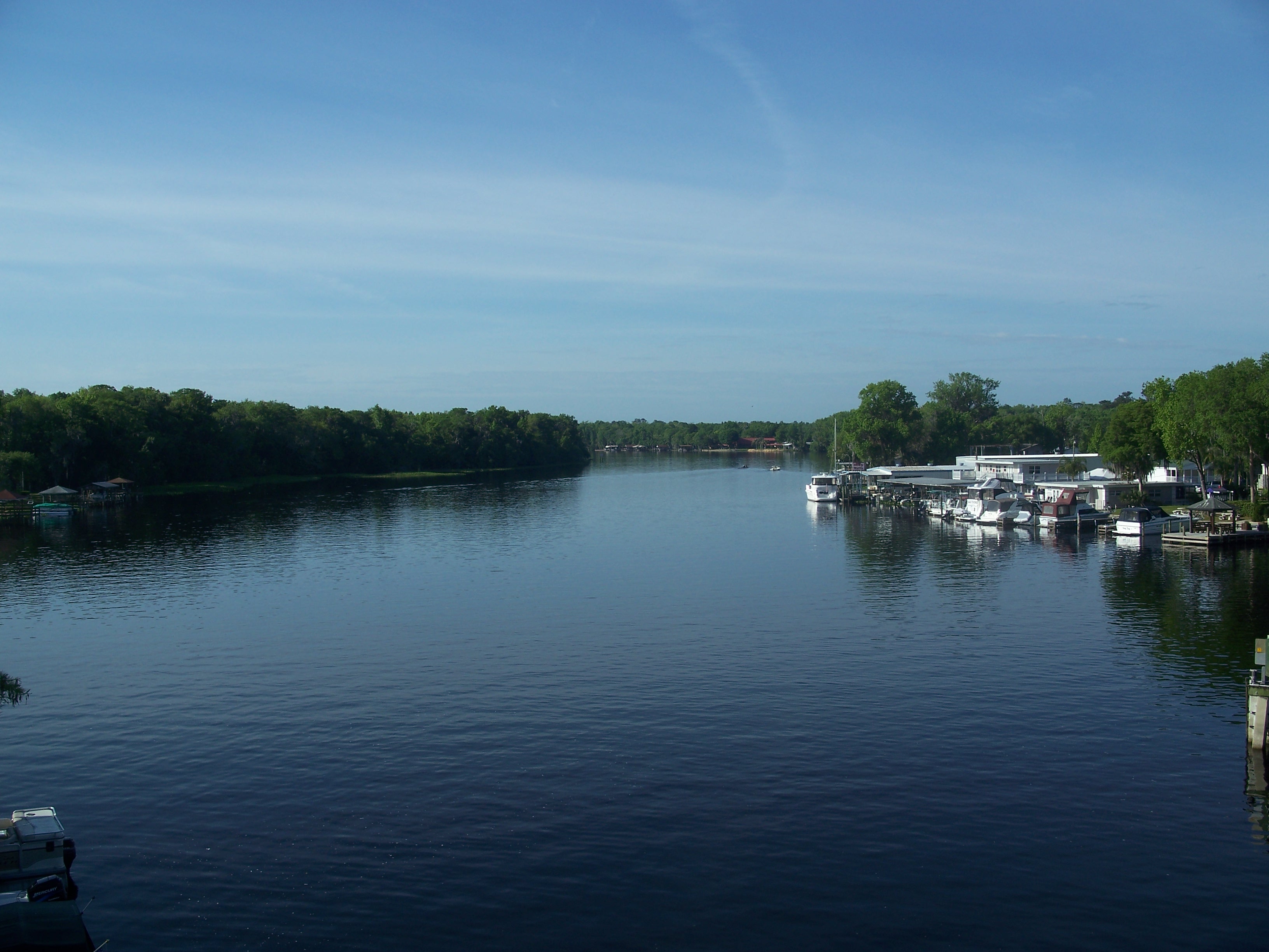 Actual view of the St. Johns River in Astor, Florida, where sightings have been reported